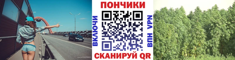 Марихуана планчик  Купить где  Октябрьск 